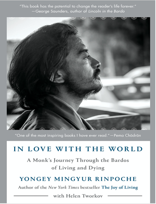 (image for) Mingyur Rinpoche In Love with the World (epub)